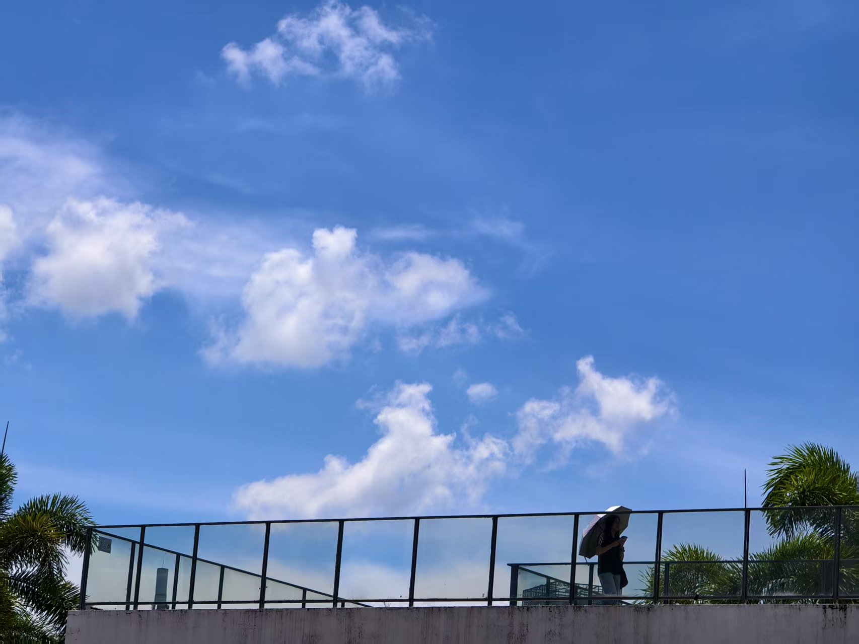 夏の純度，夏天的气味迎风而来！深圳市的生活摄影
